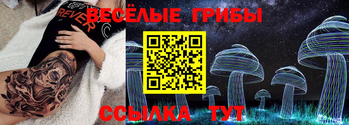 Галлюциногенные грибы Psilocybine cubensis Ахтубинск