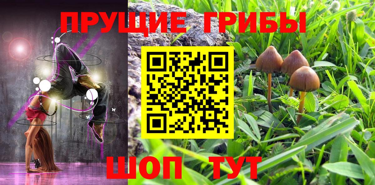 Ахтубинск  наркота  Галлюциногенные грибы GOLDEN TEACHER  Вход с VPN  Псилоцибиновые грибы прущие грибы 