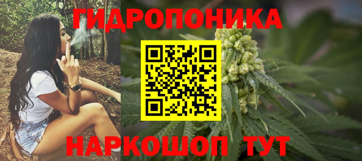 Бошки марихуана OG Kush Ахтубинск